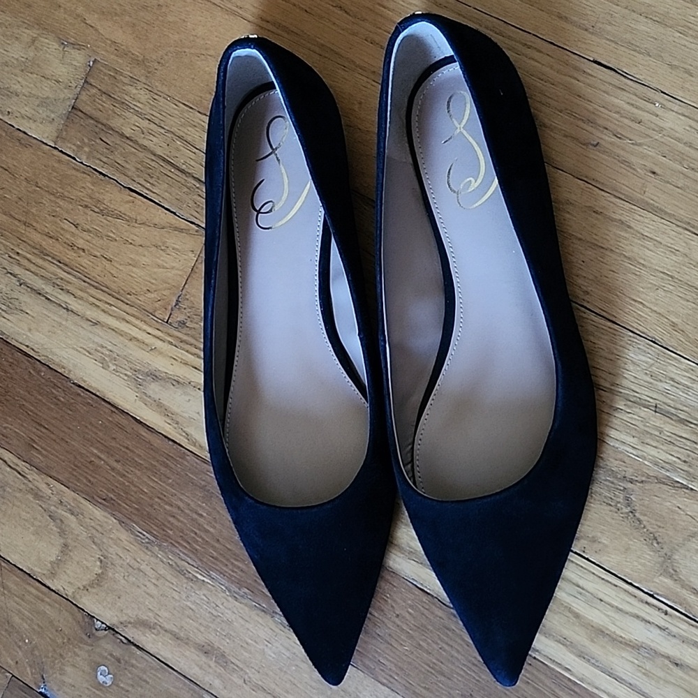Sam Edelman Wanda Pointed Toe Flats